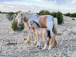 Teepee Lodge with Equus & Firearms/ranch
