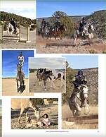 Teepee Lodge with Equus & Firearms/ranch