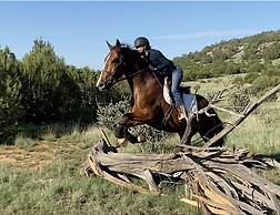 Teepee Lodge with Equus & Firearms/ranch