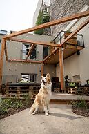 Urban Jungle Apartments