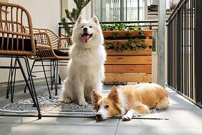 Urban Jungle Apartments