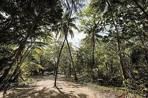 Daintree Beach Resort