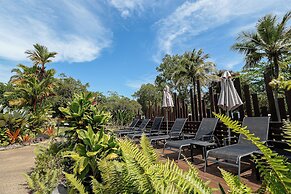 Daintree Beach Resort