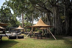 Daintree Beach Resort