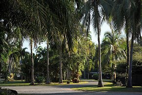 Daintree Beach Resort