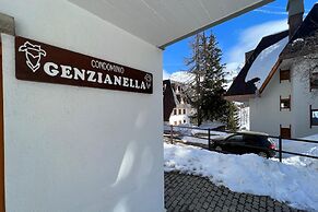 Studio Genzianella Ski In-ski Out Mt 100