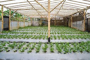 OYO Homes 91006 Eco Tourism Desa Cibodas Areng 5 Syariah