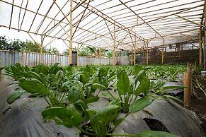 OYO Homes 91006 Eco Tourism Desa Cibodas Areng 5 Syariah