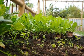 OYO Homes 91006 Eco Tourism Desa Cibodas Areng 5 Syariah