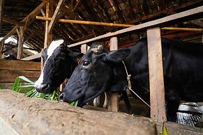 OYO Homes 91006 Eco Tourism Desa Cibodas Areng 5 Syariah