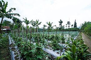 OYO Homes 91006 Eco Tourism Desa Cibodas Areng 5 Syariah