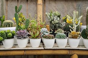 OYO Homes 91006 Eco Tourism Desa Cibodas Areng 5 Syariah