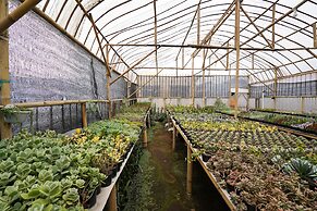 OYO Homes 91006 Eco Tourism Desa Cibodas Areng 5 Syariah