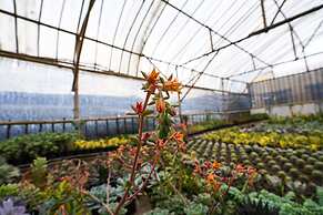 OYO Homes 91006 Eco Tourism Desa Cibodas Areng 5 Syariah