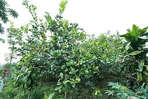 OYO Homes 91006 Eco Tourism Desa Cibodas Areng 5 Syariah