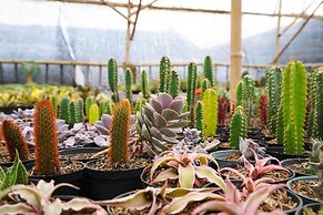 OYO Homes 91006 Eco Tourism Desa Cibodas Areng 5 Syariah