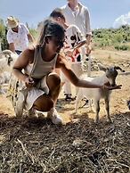 Bote Farms - Agritourism