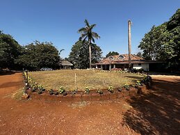 Forest Trails Adventure Resort