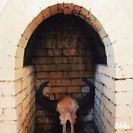 Forest Trails Adventure Resort