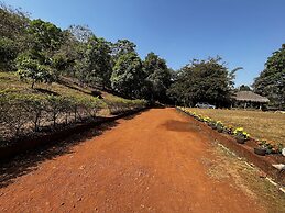 Forest Trails Adventure Resort