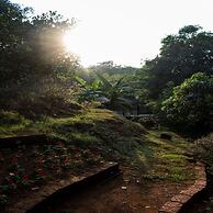 Forest Trails Adventure Resort