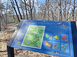 Ragged Rocks - Warm And Inviting Cottage With Uninterrupted Ocean View