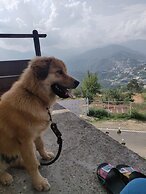 Darbar - A Heritage Farmstay