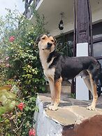 Darbar - A Heritage Farmstay