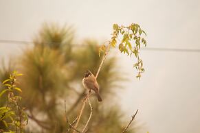 Darbar - A Heritage Farmstay