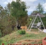 Darbar - A Heritage Farmstay