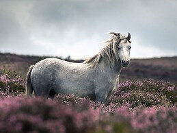 The Coach House Barn