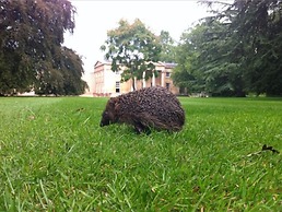 Downing College Cambridge