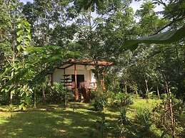 Baansuan Suksangob Farm Stay