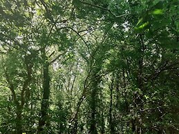 Marinaa Inn, Welcome Home