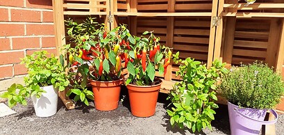 Marinaa Inn, Welcome Home