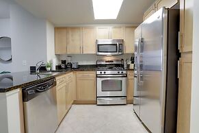 Incredible Apt in Pentagon City