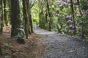 Mushroom Yurt set in 4 Acres of Woodland and Lakes