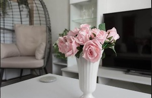 Seadell 2 Bed Coastal Chalet in Hemsby, Great Yar