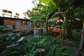Dingo Backpackers Hostel
