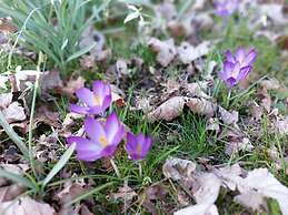 The Coach House, Canonbie
