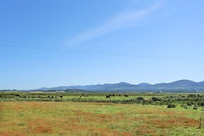 Tan Y Coed - Nasareth