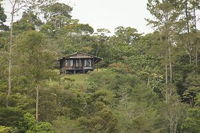 Reventazon River Mountain Lodge