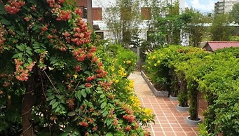 Countryside Garden Resort