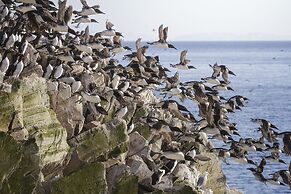 Kongsfjord Arctic Lodge