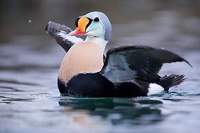 Kongsfjord Arctic Lodge