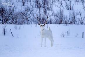 Kongsfjord Arctic Lodge