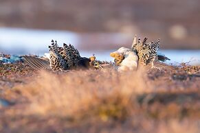 Kongsfjord Arctic Lodge