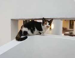 Hidden Garden International Youth Hostel - Oriental Pearl & Lujiazui