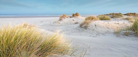 Fox Hotel The Hague Scheveningen