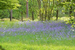 Captivating 1-bed Chalet in Newbridge on Wye